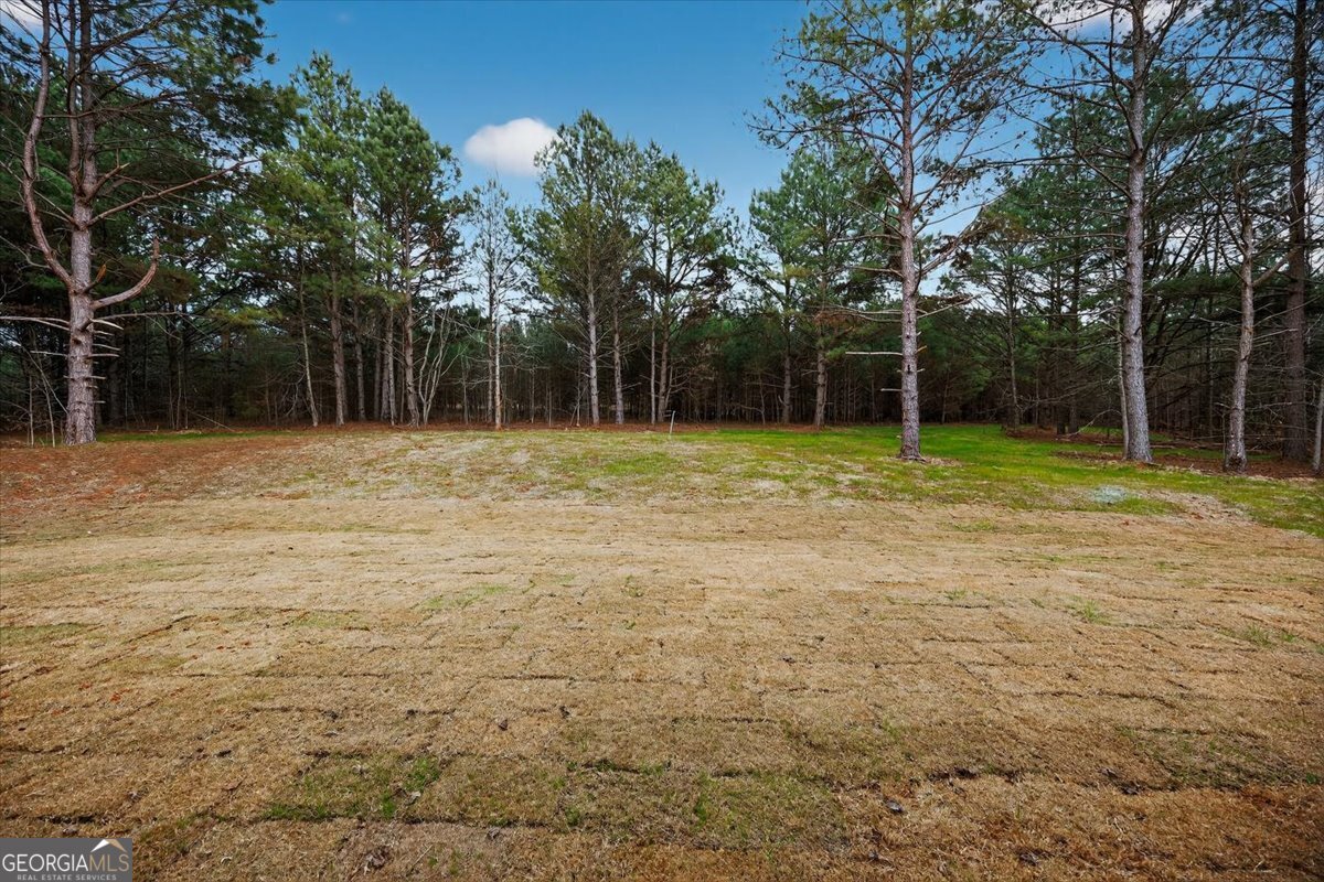 98 Mud Bridge Road The Rock, GA 30285 - Photo 36 of 47