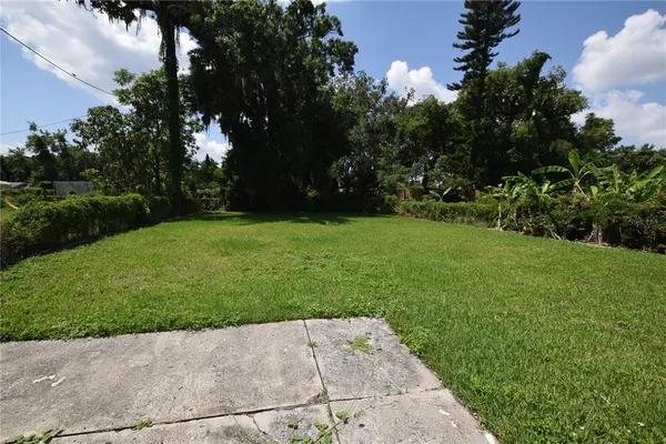 a view of a park with plants and trees