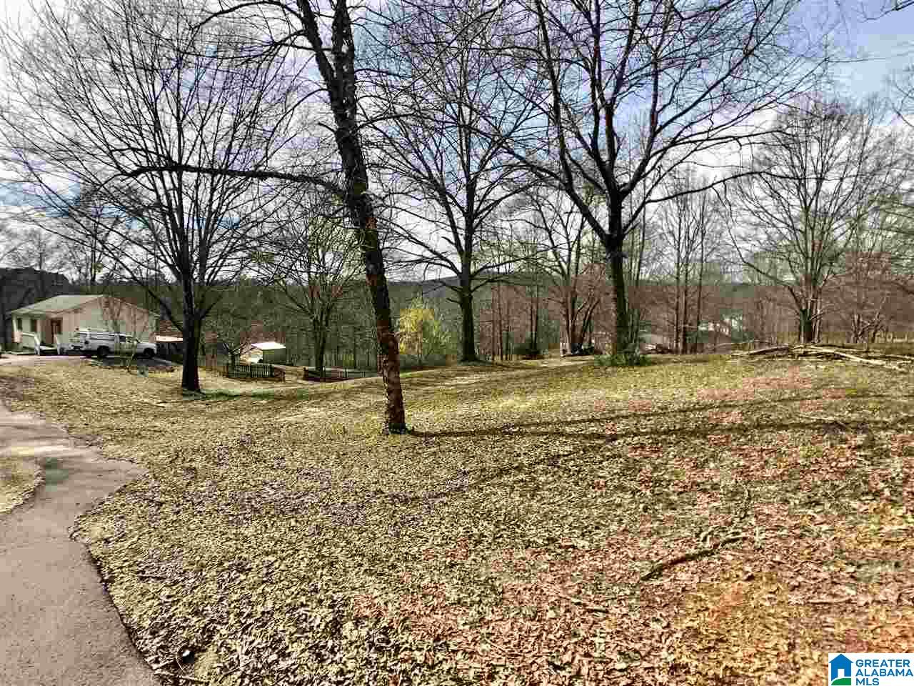230 Warrior Trail Hayden, AL 35079 - Photo 18 of 21