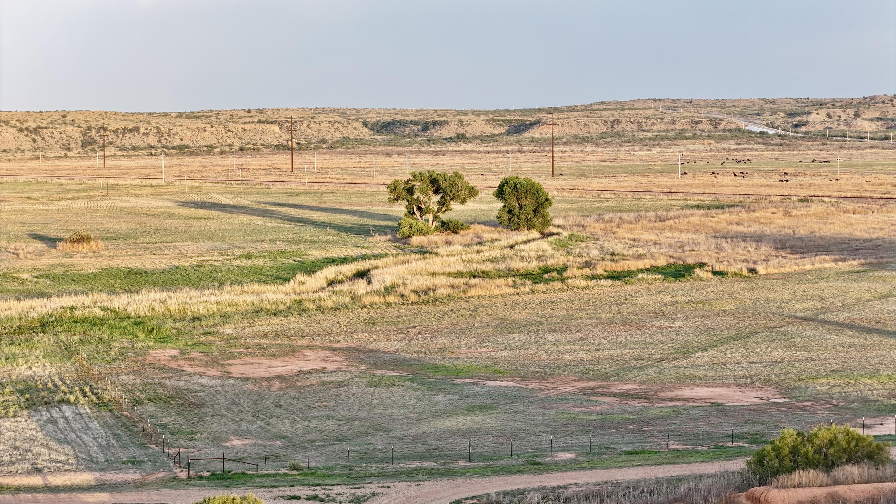 County Road West Vega, TX 79092 - Photo 7 of 20 DJI_20260625204609_0349_D
