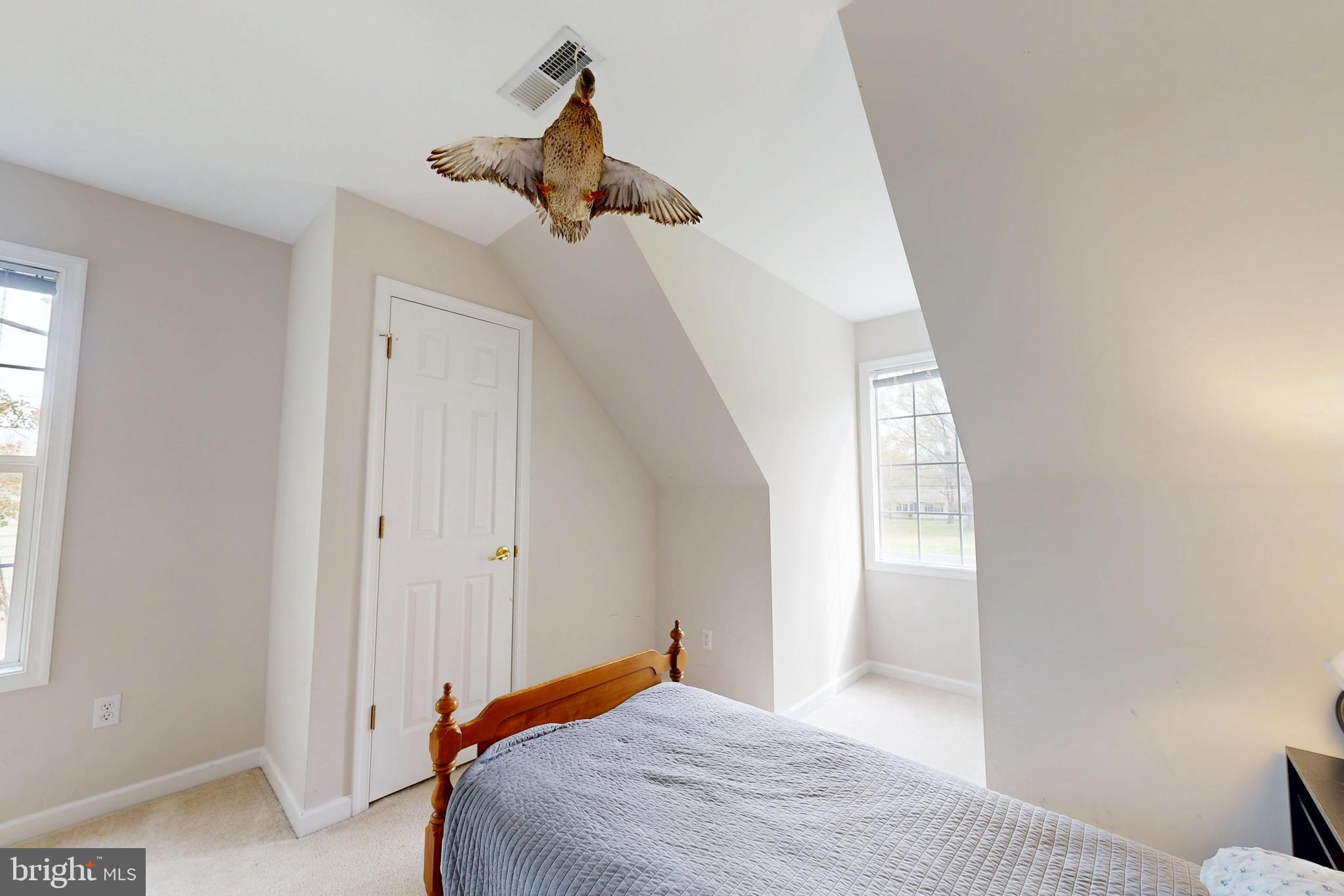 10490 Longwoods Road Easton, MD 21601 - Photo 14 of 26
