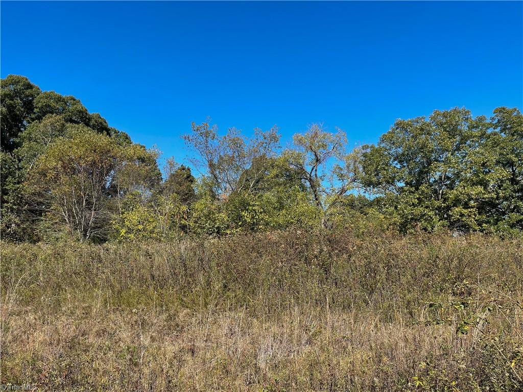 612 Newsome Road King, NC 27021 - Photo 21 of 28 Gallery Image 21