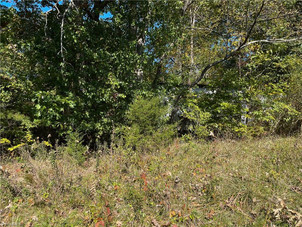 612 Newsome Road King, NC 27021 - Photo 22 of 28 Gallery Image 22