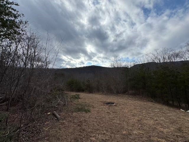 Tbd Brammer Spur Road Woolwine, VA 24185 - Photo 13 of 19 Gallery Image 13