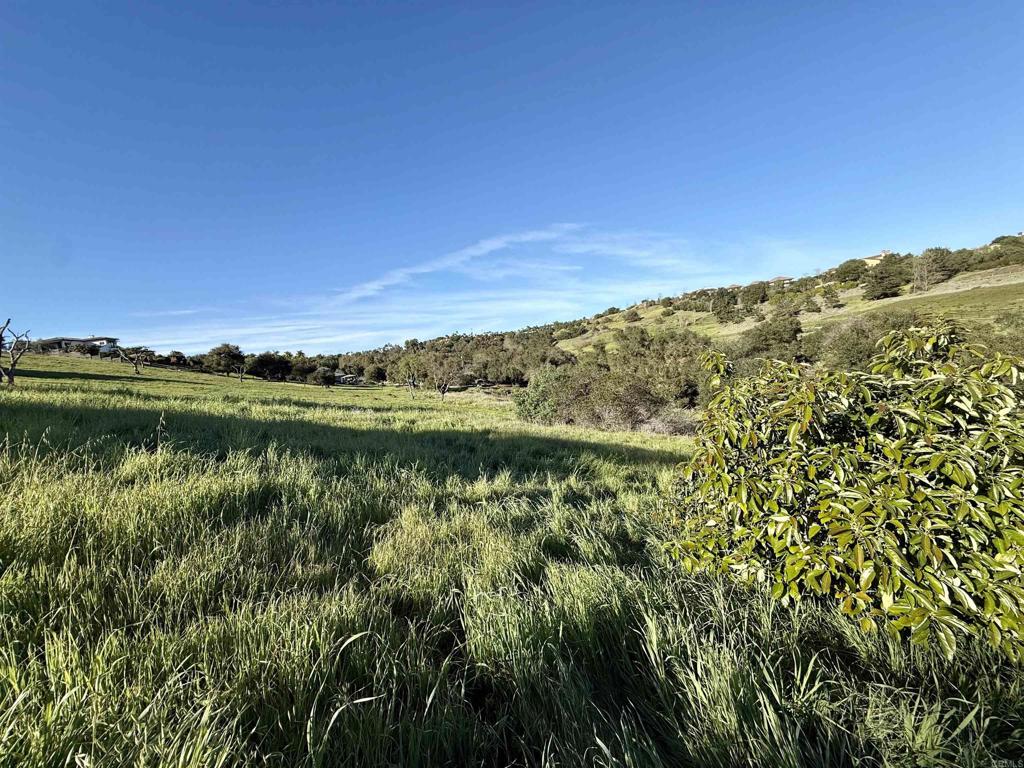 0 Palomar Drive Fallbrook, CA 92028 - Photo 12 of 21