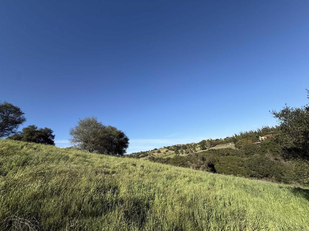 0 Palomar Drive Fallbrook, CA 92028 - Photo 16 of 21