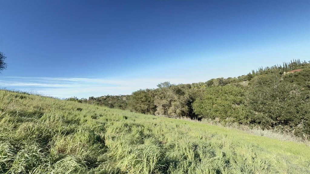 0 Palomar Drive Fallbrook, CA 92028 - Photo 18 of 21