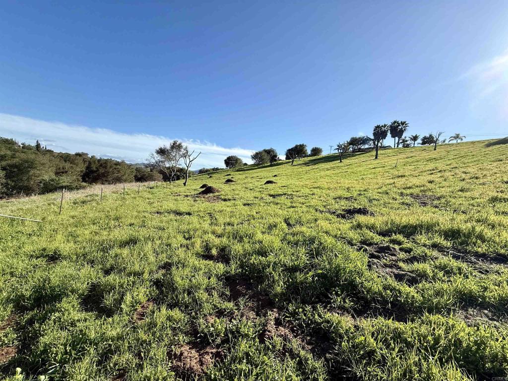 0 Palomar Drive Fallbrook, CA 92028 - Photo 19 of 21