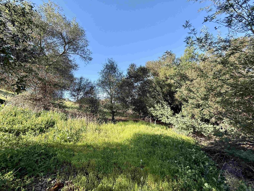 0 Palomar Drive Fallbrook, CA 92028 - Photo 8 of 21