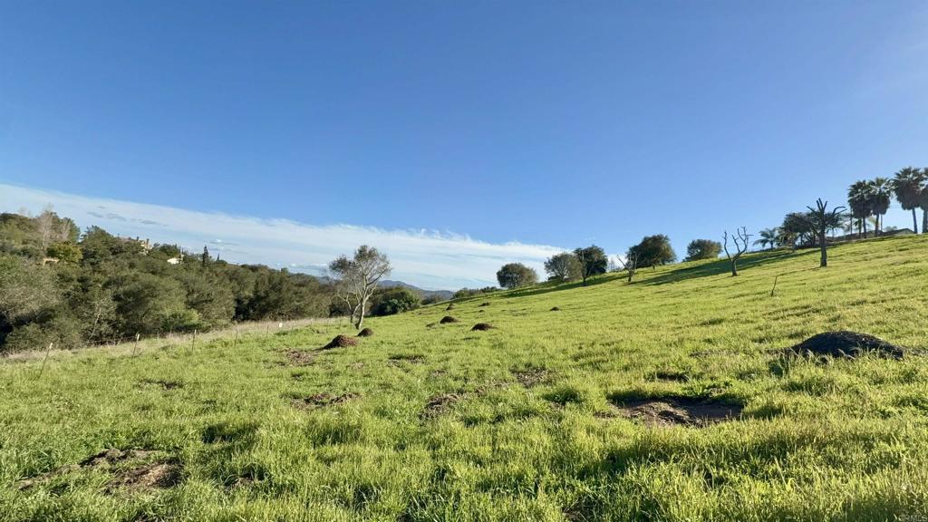 0 Palomar Drive Fallbrook, CA 92028 - Photo 10 of 21