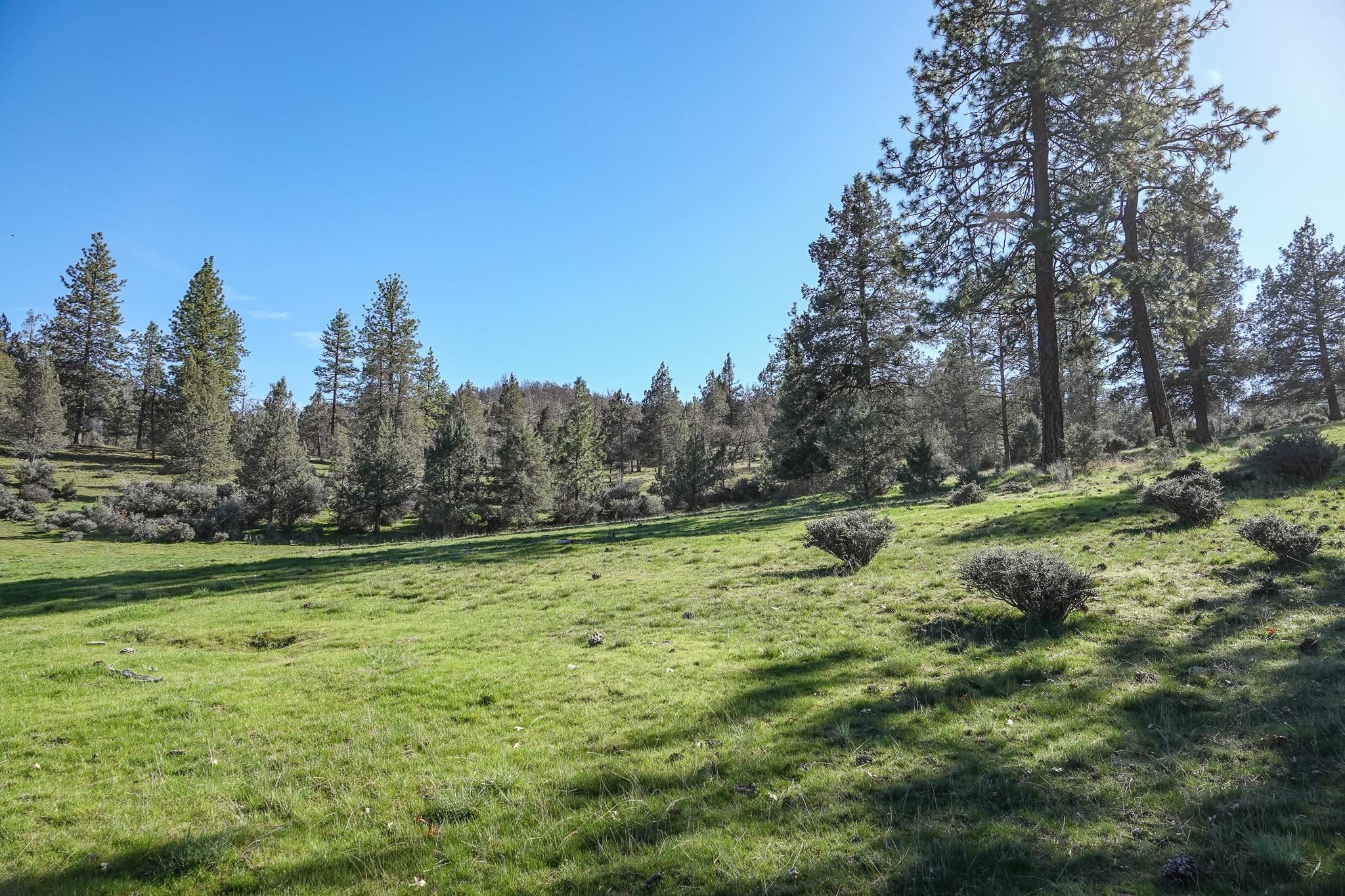 0 Scarface Road Fort Jones, CA 96032 - Photo 2 of 35 Gallery Image 2