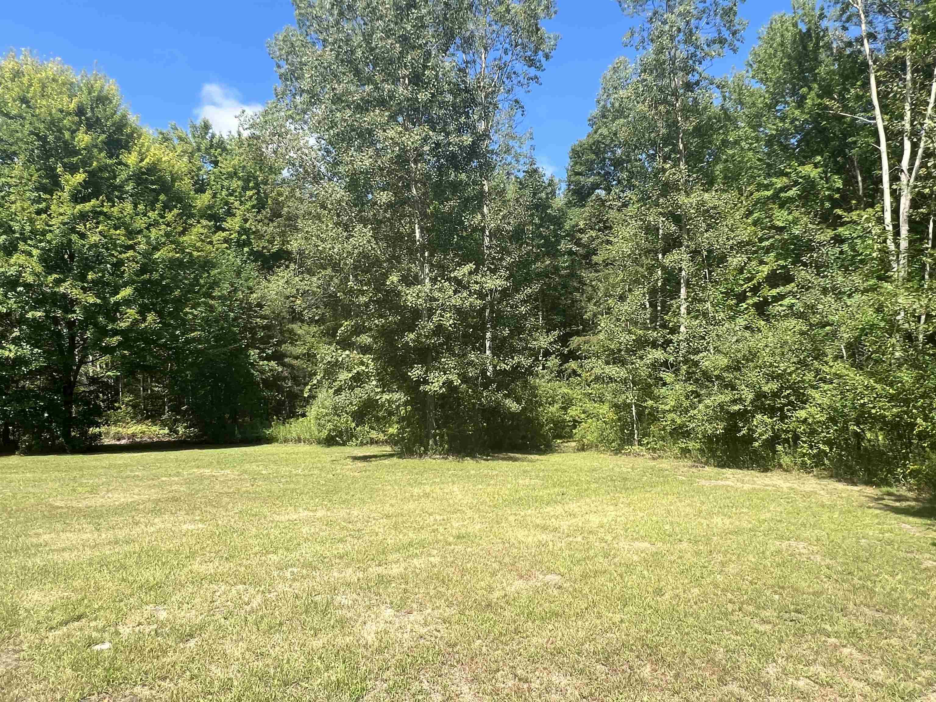 3286 Coolidge Road Beaverton, MI 48612 - Photo 18 of 35