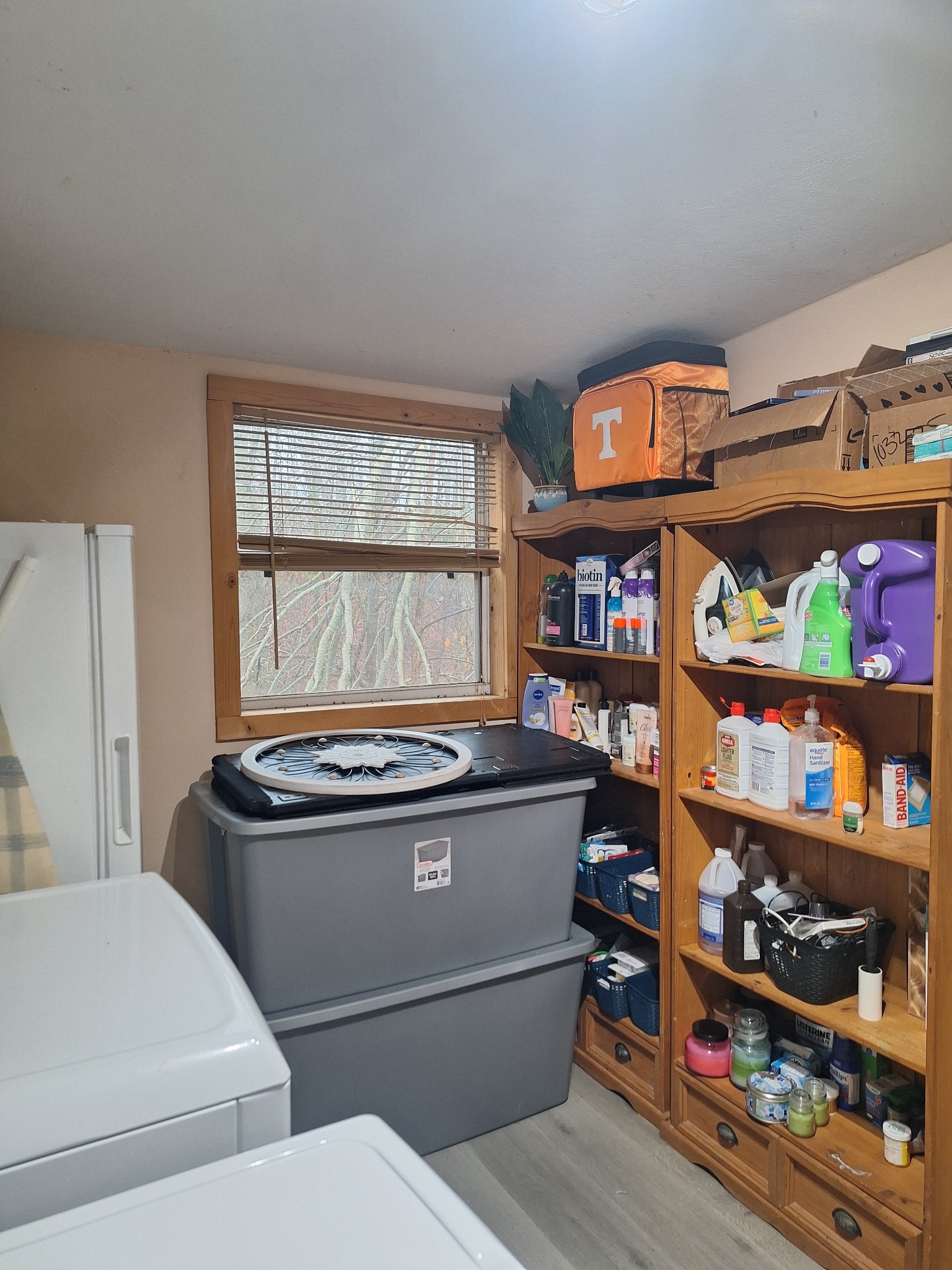 199 Dixon Ln. Waynesboro, TN 38485 - Photo 14 of 52 a living room with washer and dryer