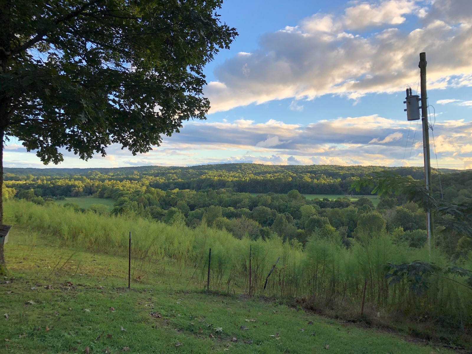 199 Dixon Ln. Waynesboro, TN 38485 - Photo 20 of 52 a view of a lush green forest with lots of green space