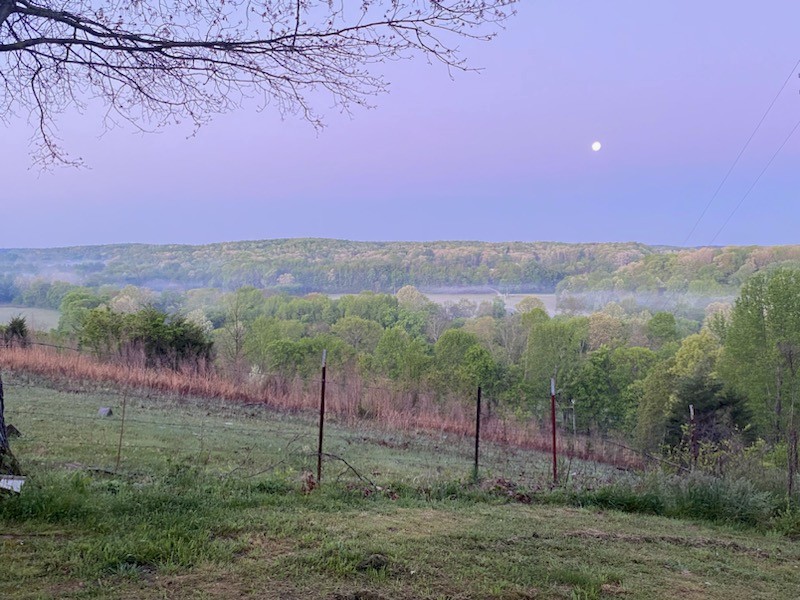 199 Dixon Ln. Waynesboro, TN 38485 - Photo 21 of 52 a view of a city with lush green forest