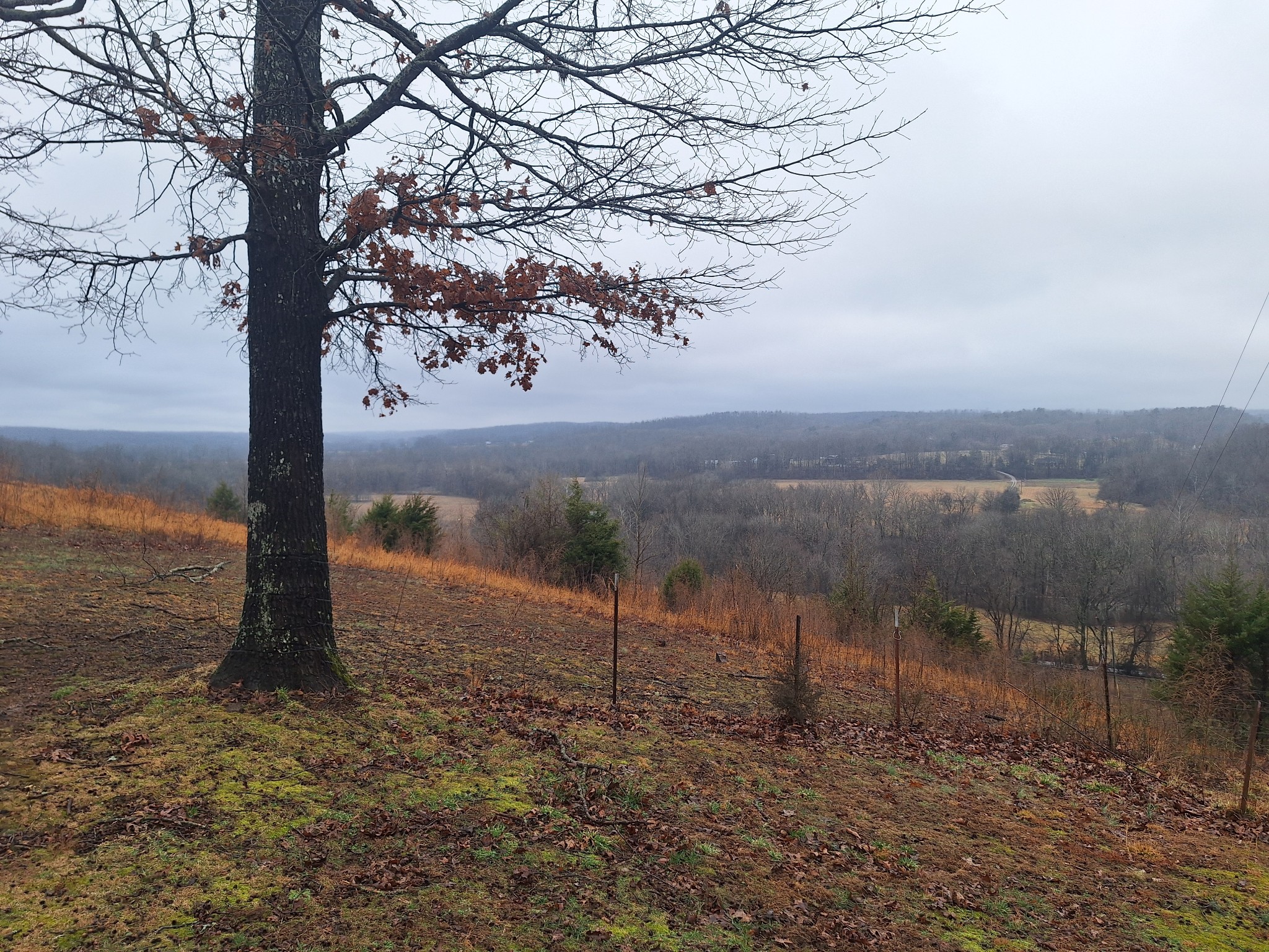 199 Dixon Ln. Waynesboro, TN 38485 - Photo 24 of 52 a view of a lake with a mountain
