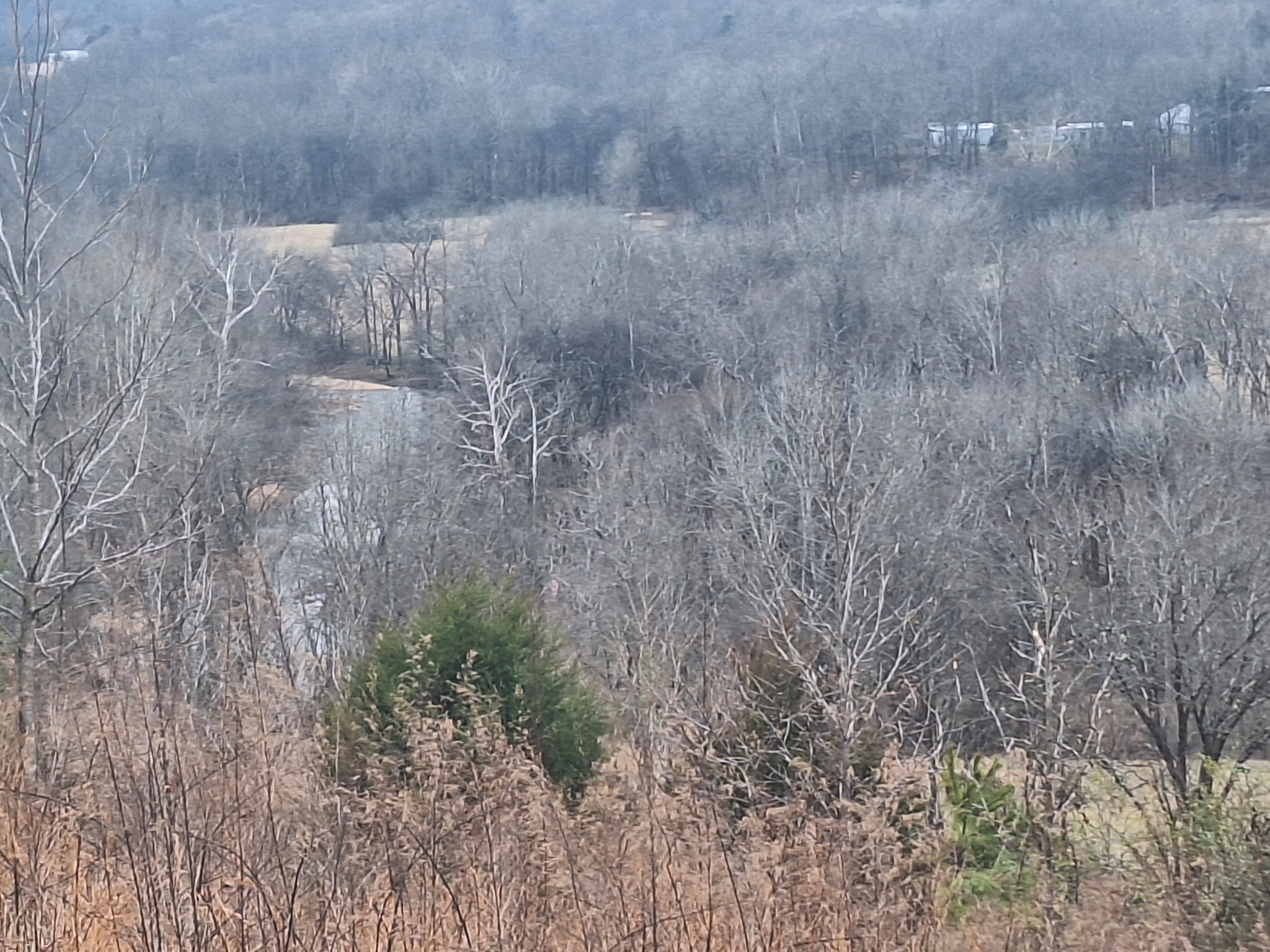 199 Dixon Ln. Waynesboro, TN 38485 - Photo 27 of 52 a view of a dry yard