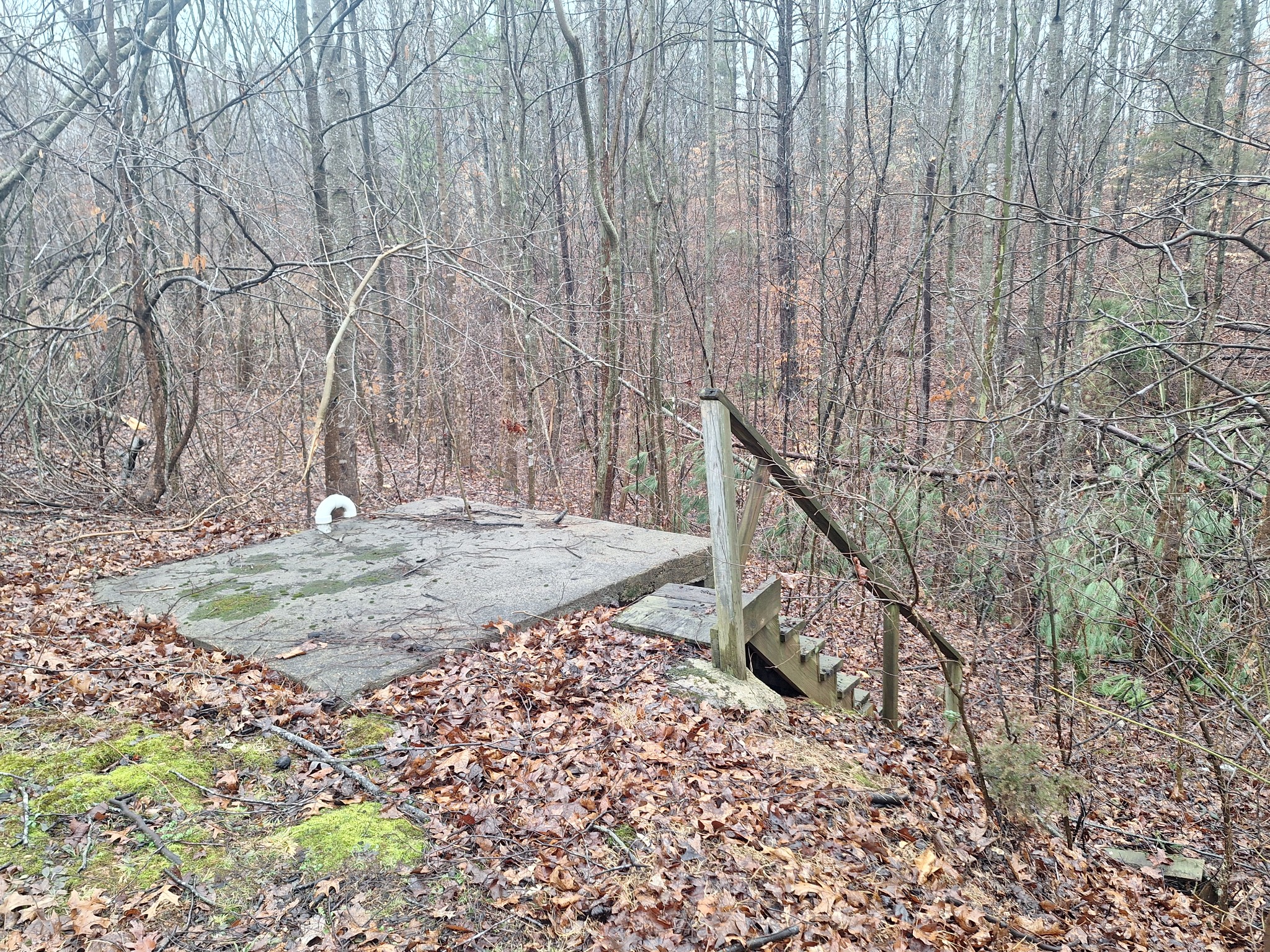 199 Dixon Ln. Waynesboro, TN 38485 - Photo 34 of 52