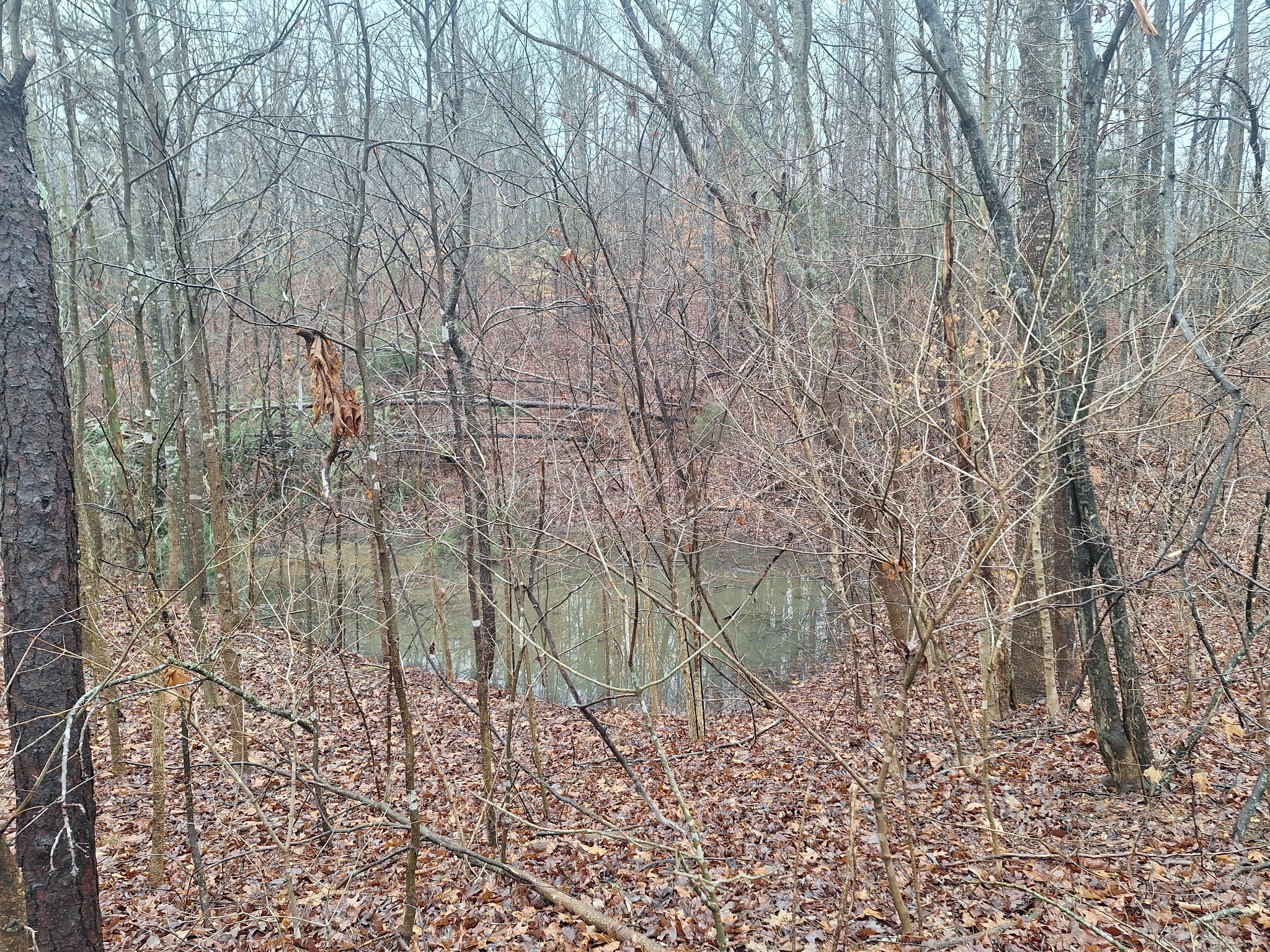 199 Dixon Ln. Waynesboro, TN 38485 - Photo 37 of 52