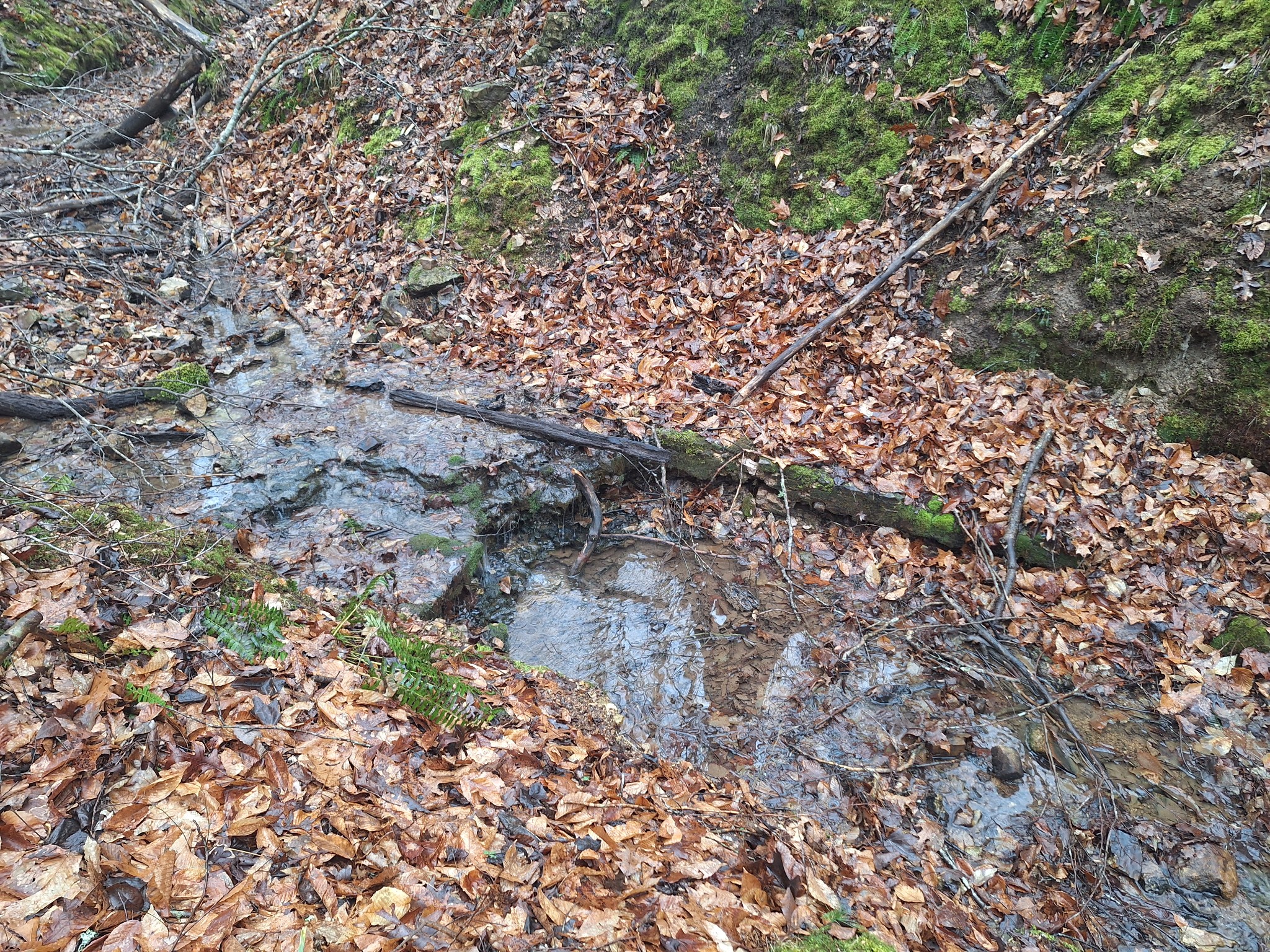 199 Dixon Ln. Waynesboro, TN 38485 - Photo 38 of 52