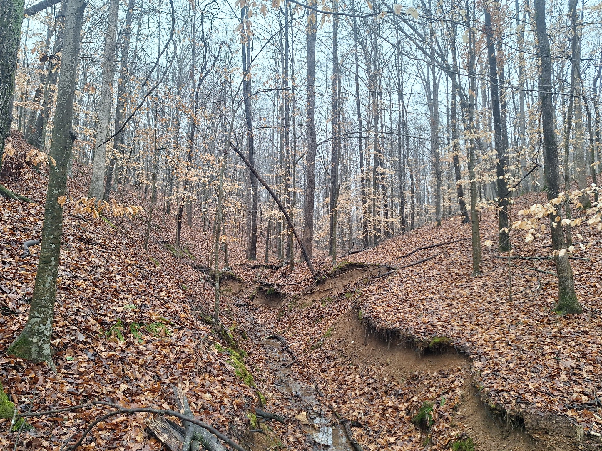 199 Dixon Ln. Waynesboro, TN 38485 - Photo 42 of 52