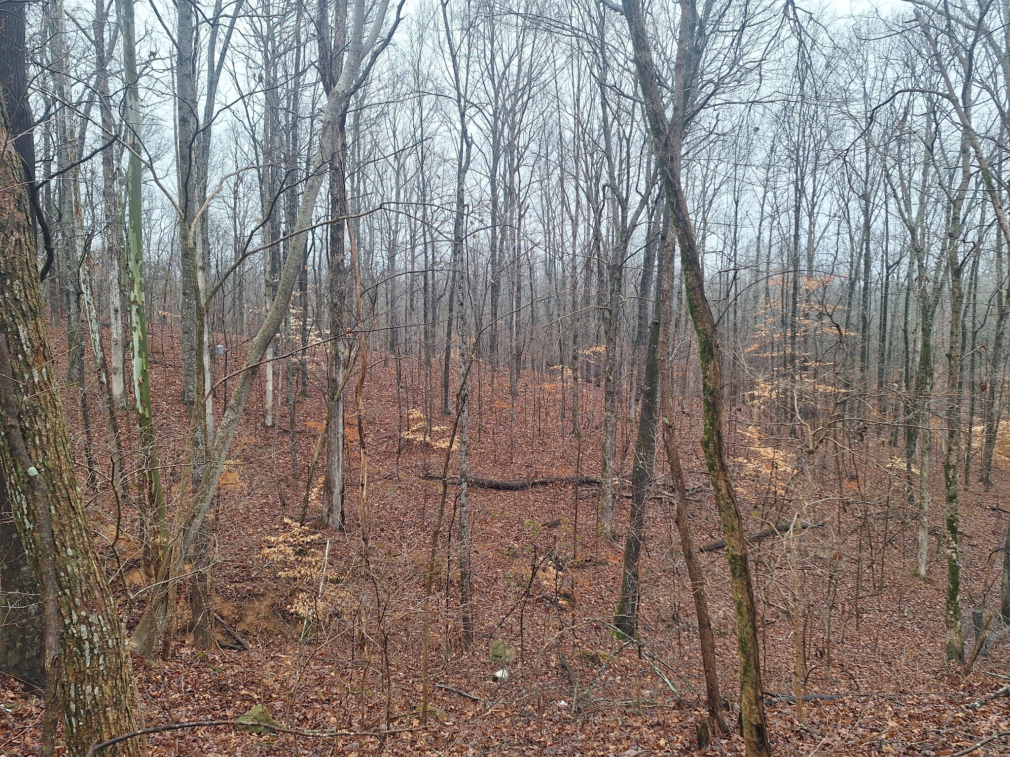 199 Dixon Ln. Waynesboro, TN 38485 - Photo 50 of 52 a bathroom with a shower