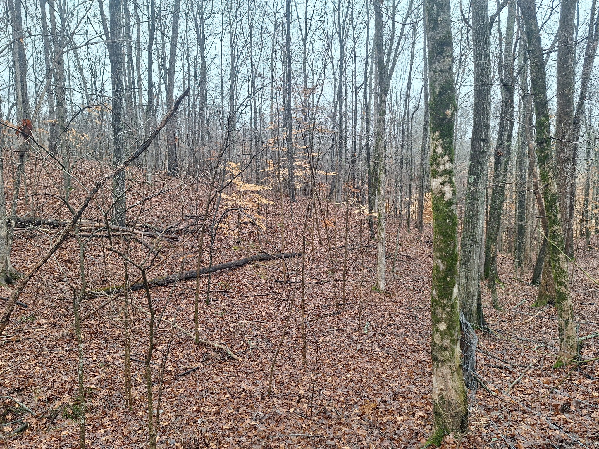 199 Dixon Ln. Waynesboro, TN 38485 - Photo 51 of 52 a bathroom with a shower