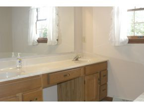 556 Opie Arnold Road Limestone, TN 37681 - Photo 15 of 23 Master Bath with Double Sinks