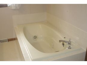 556 Opie Arnold Road Limestone, TN 37681 - Photo 16 of 23 Master Bath Tub