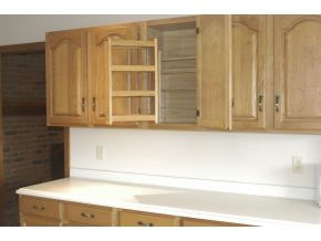 556 Opie Arnold Road Limestone, TN 37681 - Photo 7 of 23 Cabinets with Pull Outs