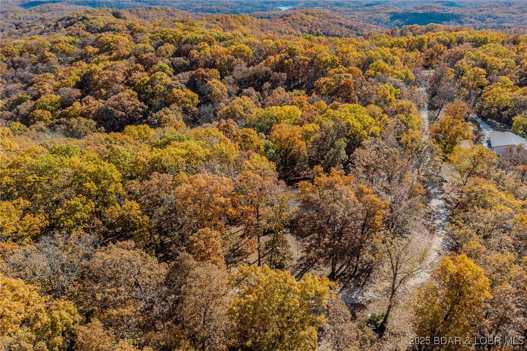 180 Independence Drive Roach, MO 65787 - Photo 67 of 69