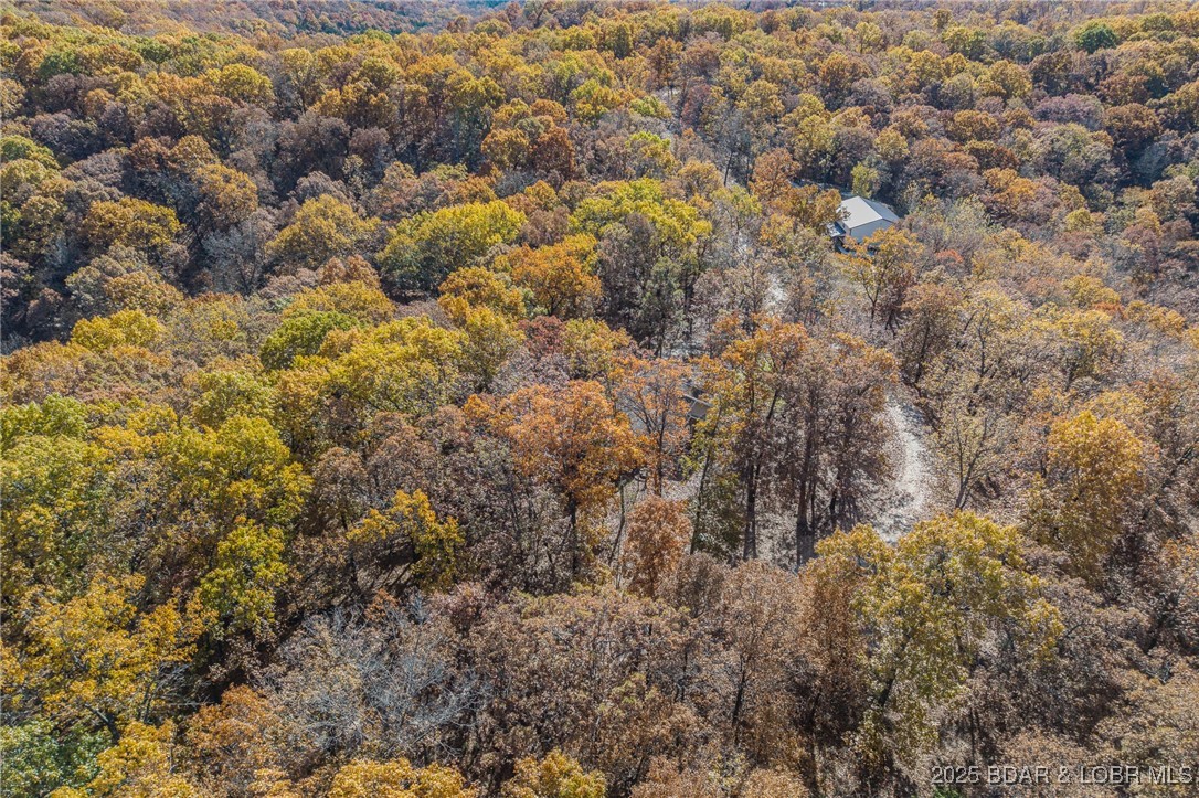 180 Independence Drive Roach, MO 65787 - Photo 68 of 69