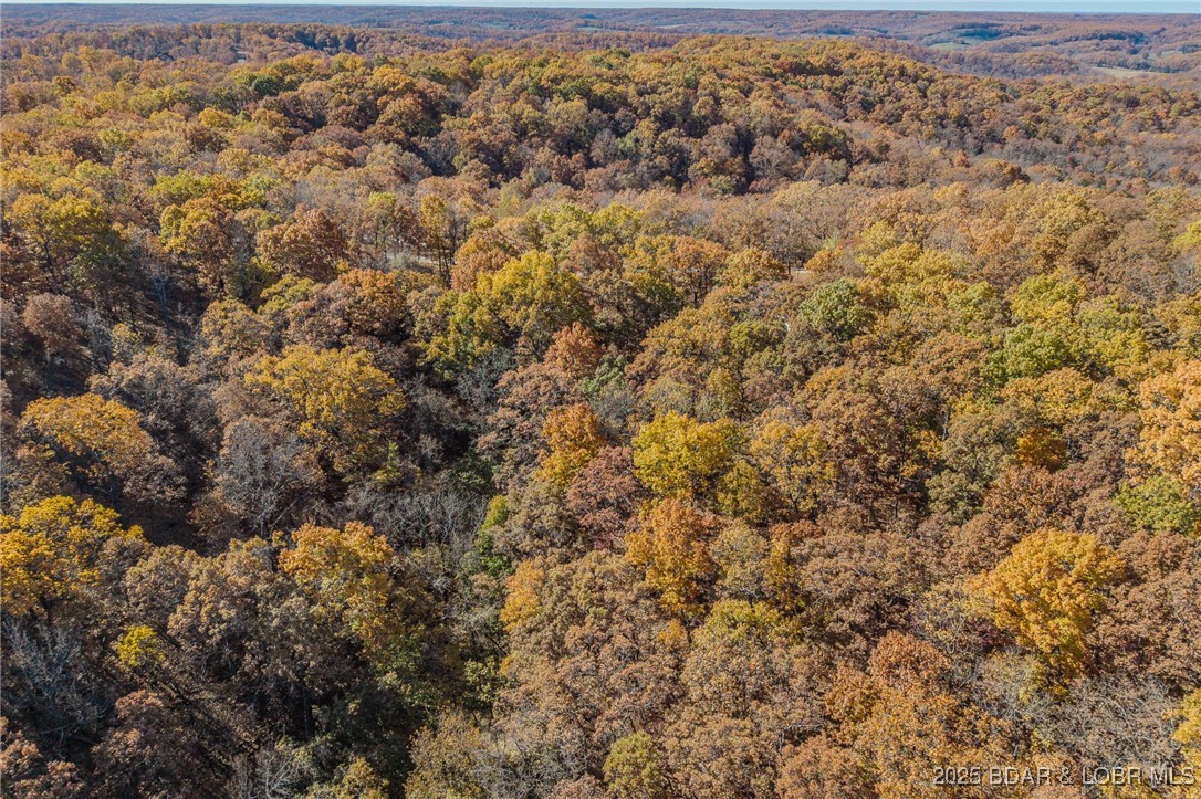 180 Independence Drive Roach, MO 65787 - Photo 69 of 69