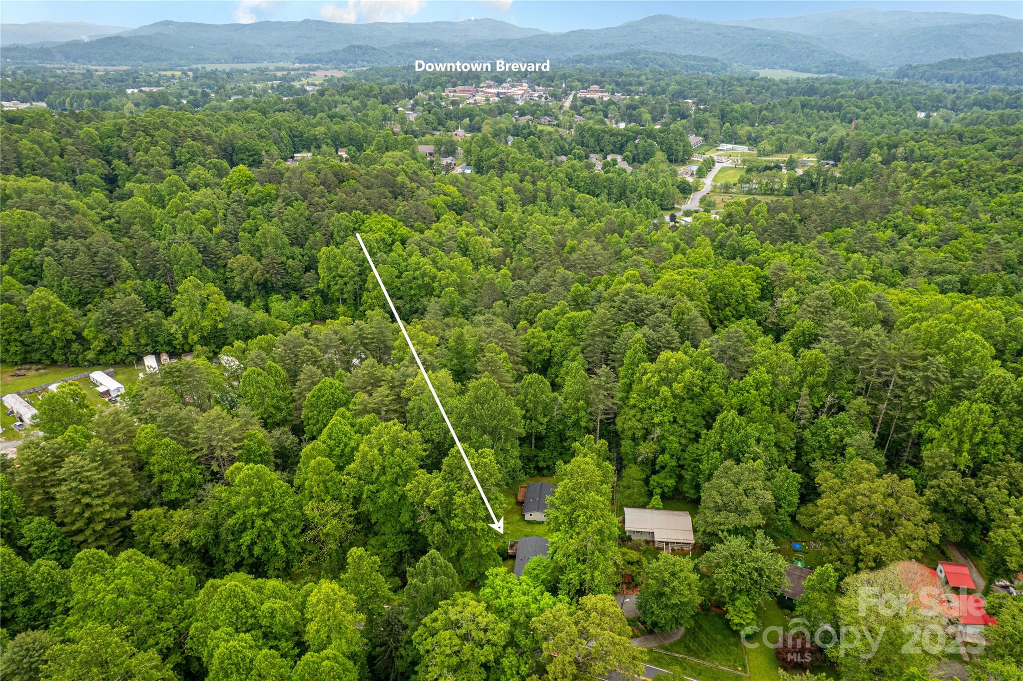 15 Pope Road Brevard, NC 28712 - Photo 29 of 29 a view of a green field with lots of bushes