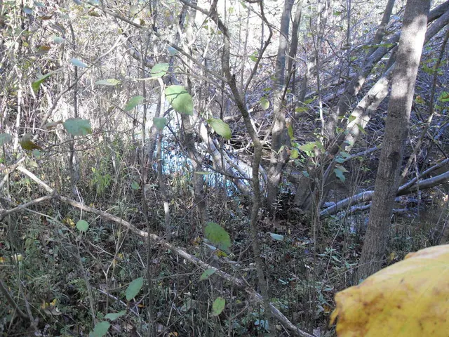 $140,000 | 4107 East White River Drive, Hesperia, MI 49421