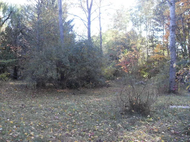 $140,000 | 4107 East White River Drive, Hesperia, MI 49421