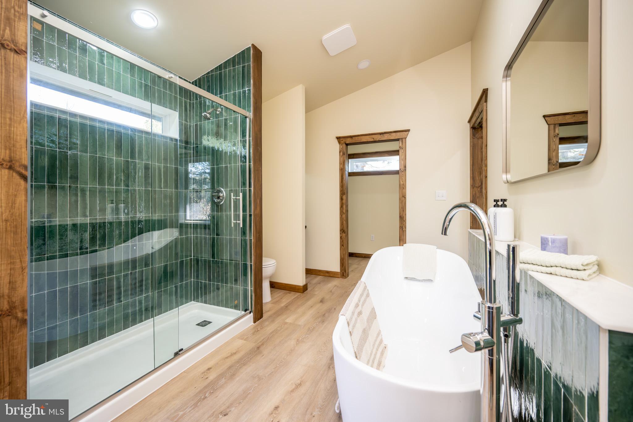 3456 Glendale Road Swanton, MD 21561 - Photo 49 of 93 a bathroom with a tub sink and mirror