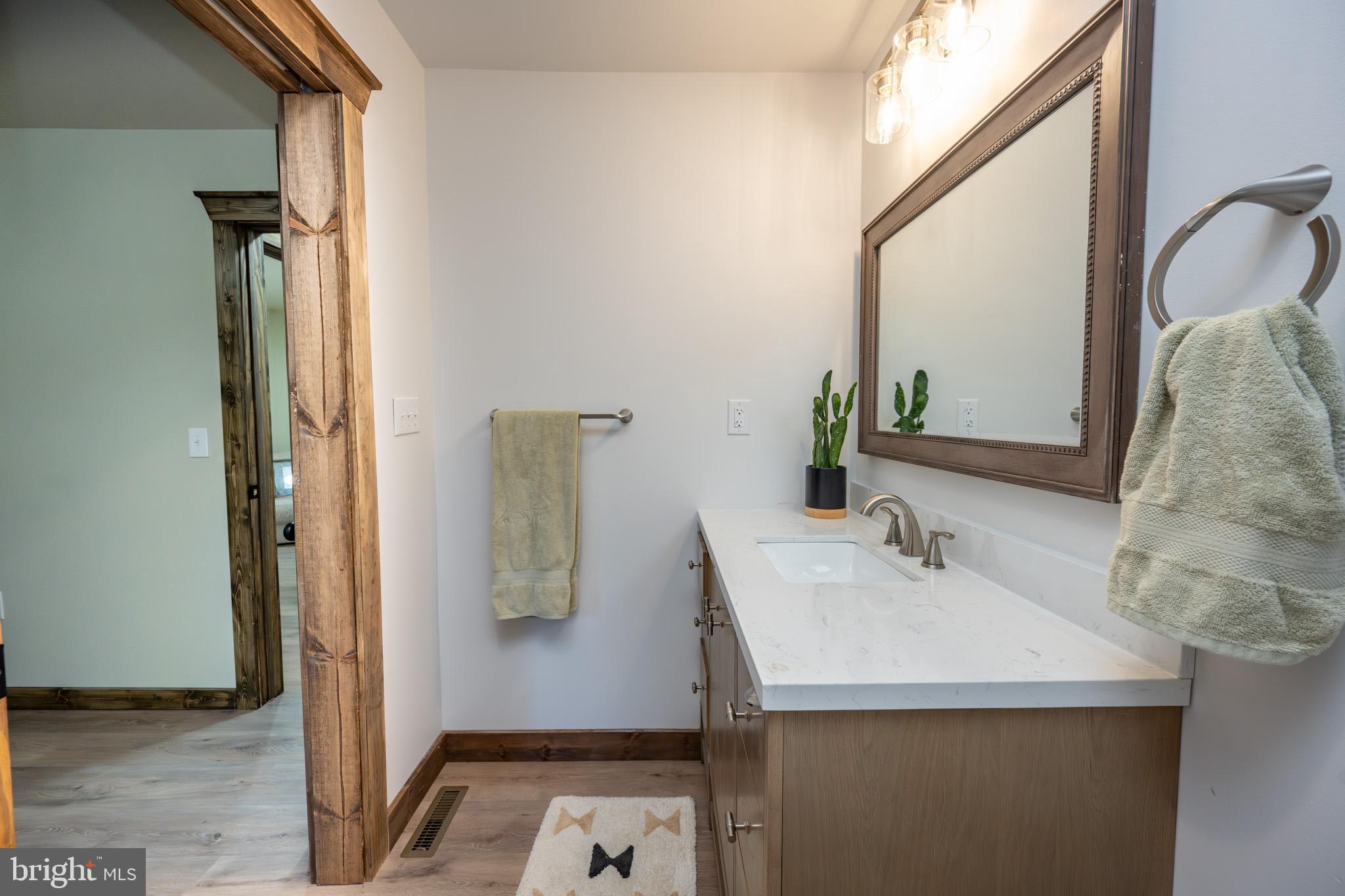3456 Glendale Road Swanton, MD 21561 - Photo 60 of 93 a bathroom with a sink and a mirror