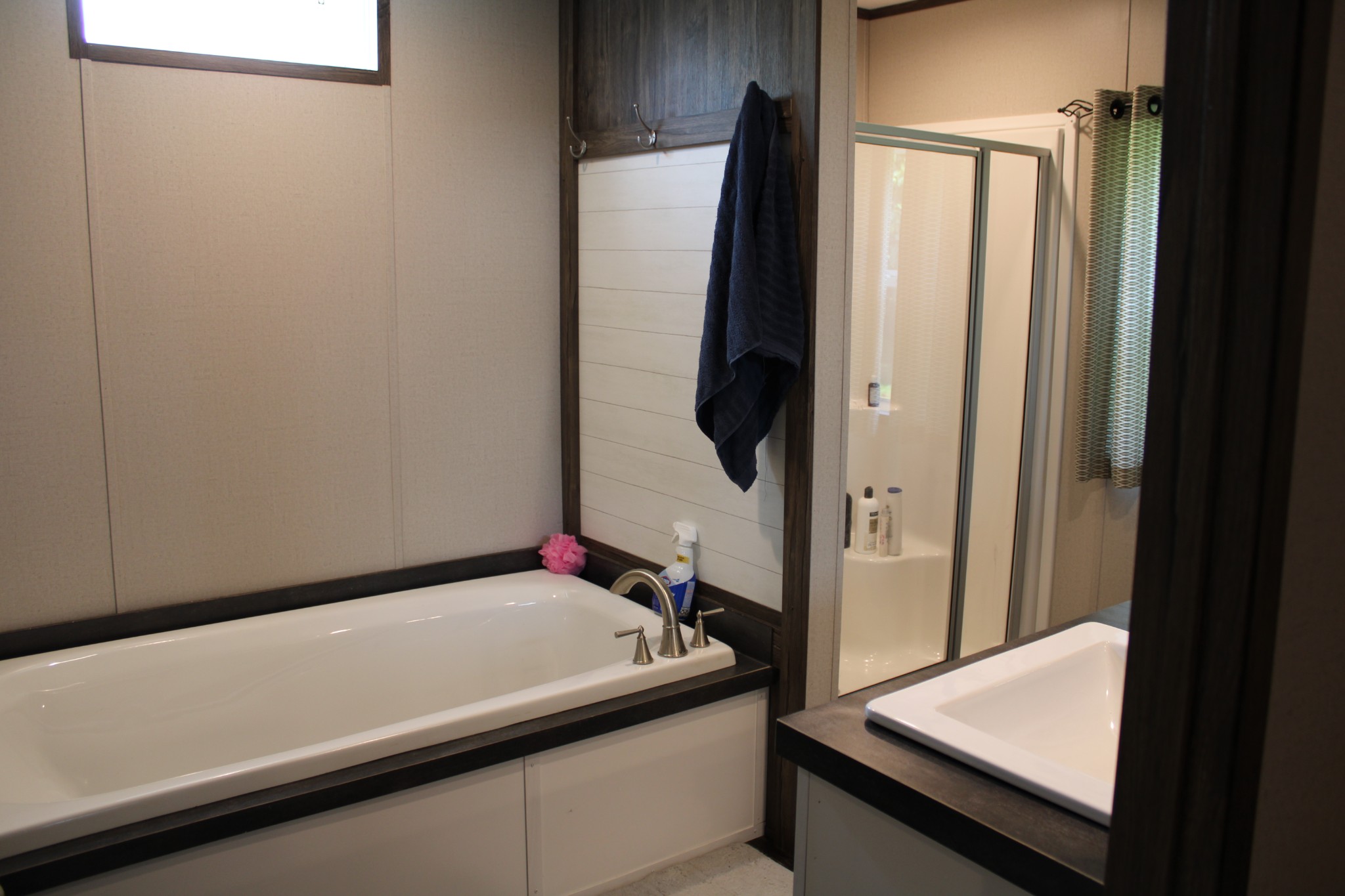 890 Oak Grove Road Goodspring, TN 38460 - Photo 11 of 18 a bathroom with a sink and a mirror