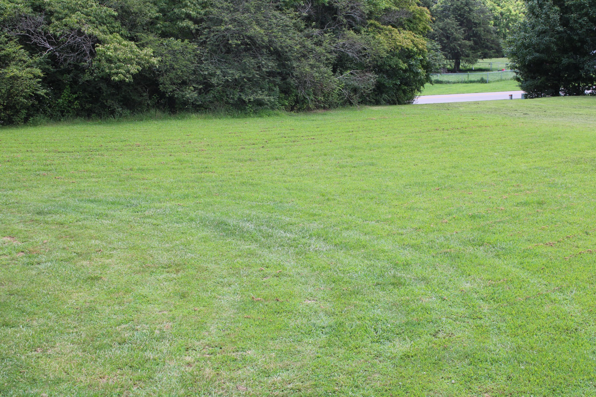 890 Oak Grove Road Goodspring, TN 38460 - Photo 17 of 18 a view of an outdoor space and a yard
