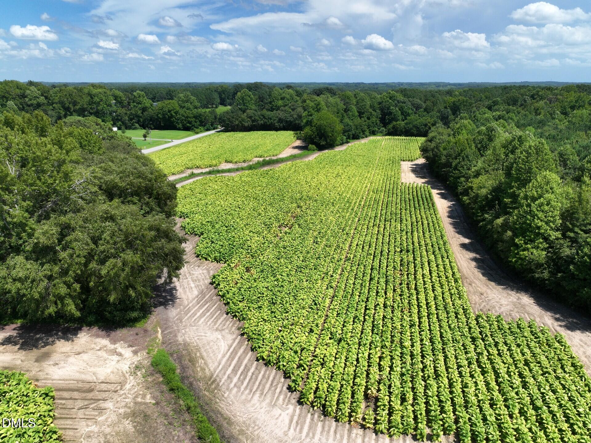 Lot 2 River Run Road Selma, NC 27576 - Photo 14 of 25 Pic 13 Selma