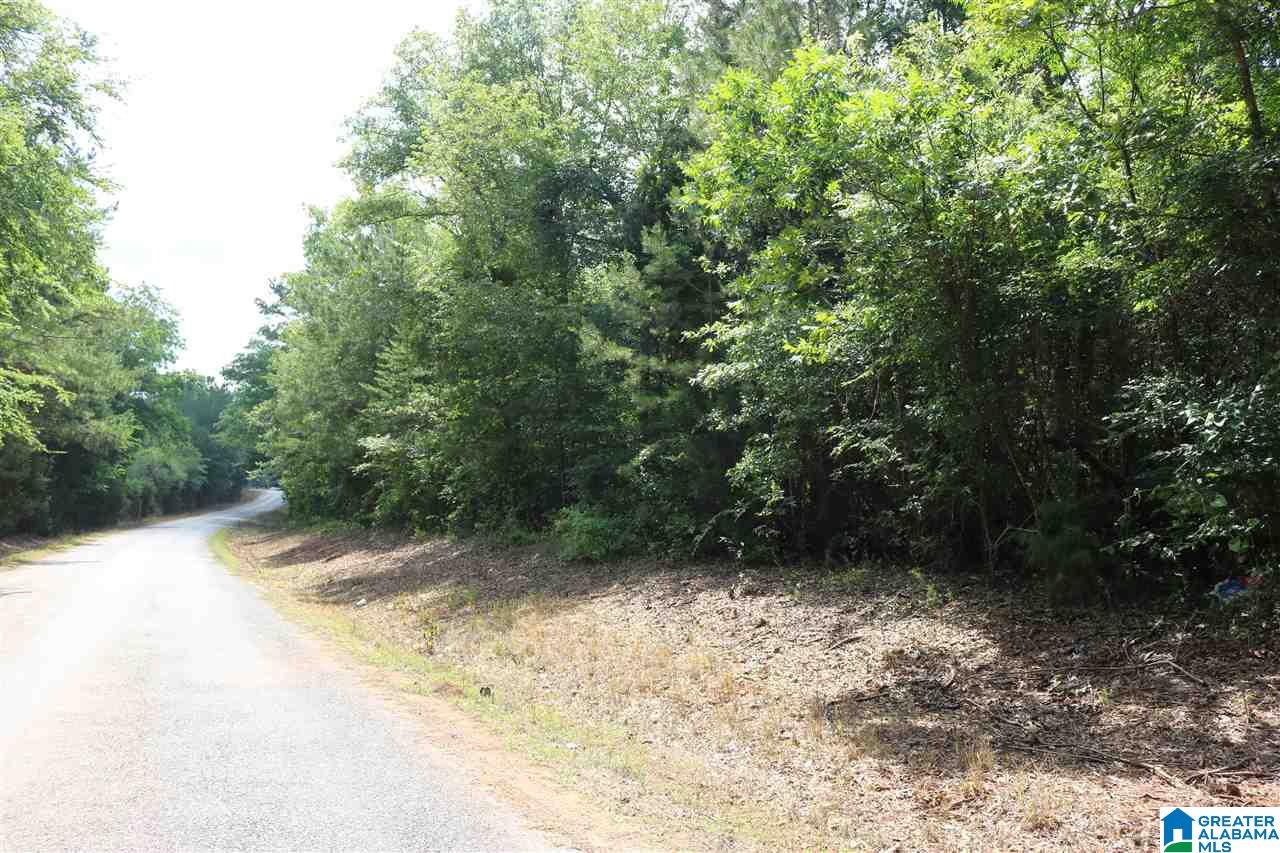 1121 Dry Valley Road, Unit 1 Lincoln, AL 35096 - Photo 1 of 7