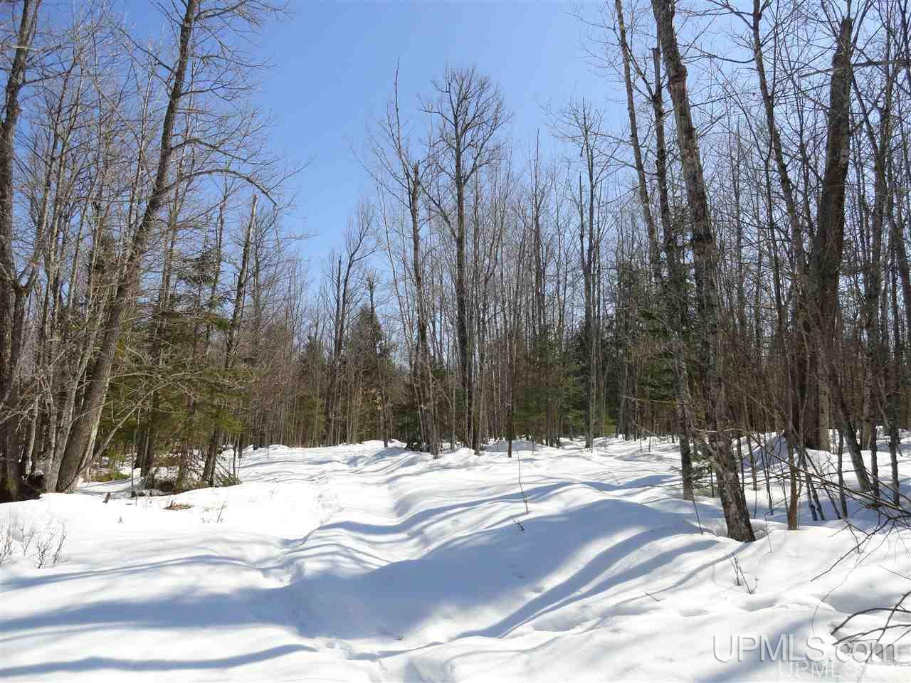 240-acres Leek Road Covington, MI 49919 - Photo 19 of 50