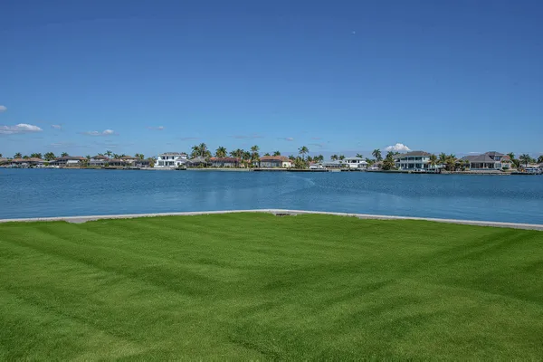 a view of a field with an ocean
