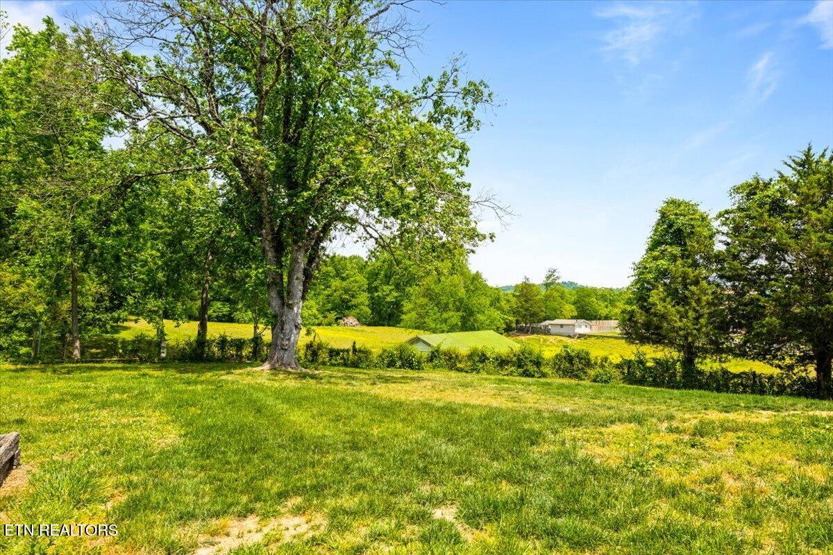 524 Park Road Caryville, TN 37714 - Photo 50 of 58 53-524 Park Rd