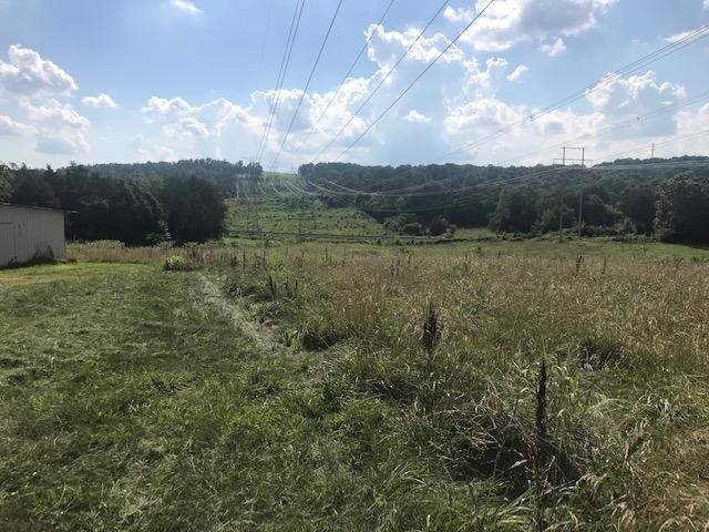 6523 Boruff Road Corryton, TN 37721 - Photo 6 of 10
