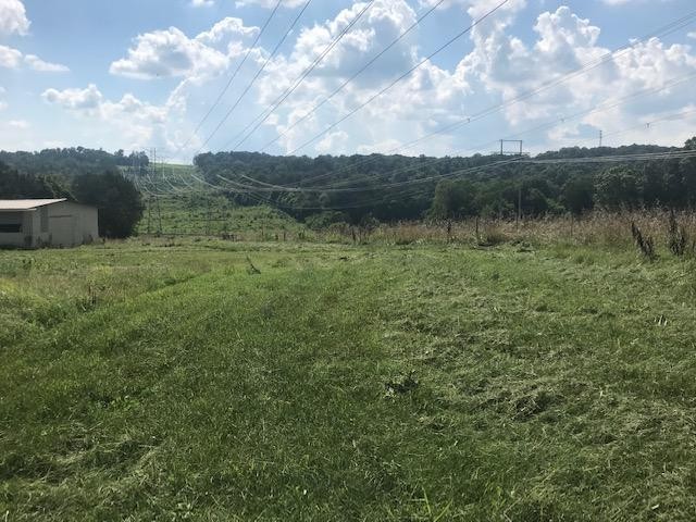 6523 Boruff Road Corryton, TN 37721 - Photo 7 of 10