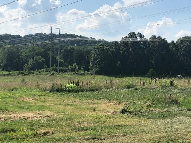 6523 Boruff Road Corryton, TN 37721 - Photo 9 of 10