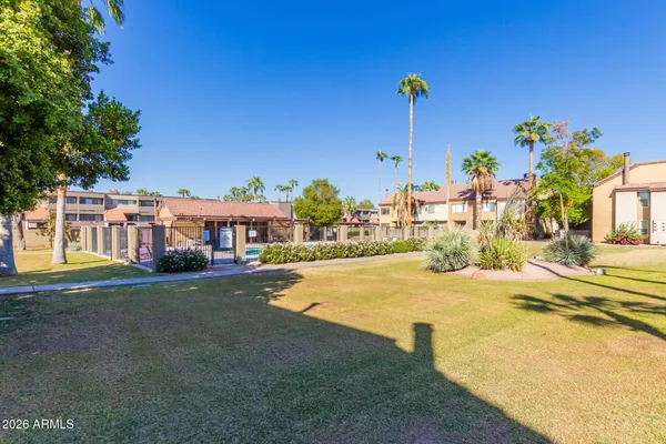 a view of a flower in a lot