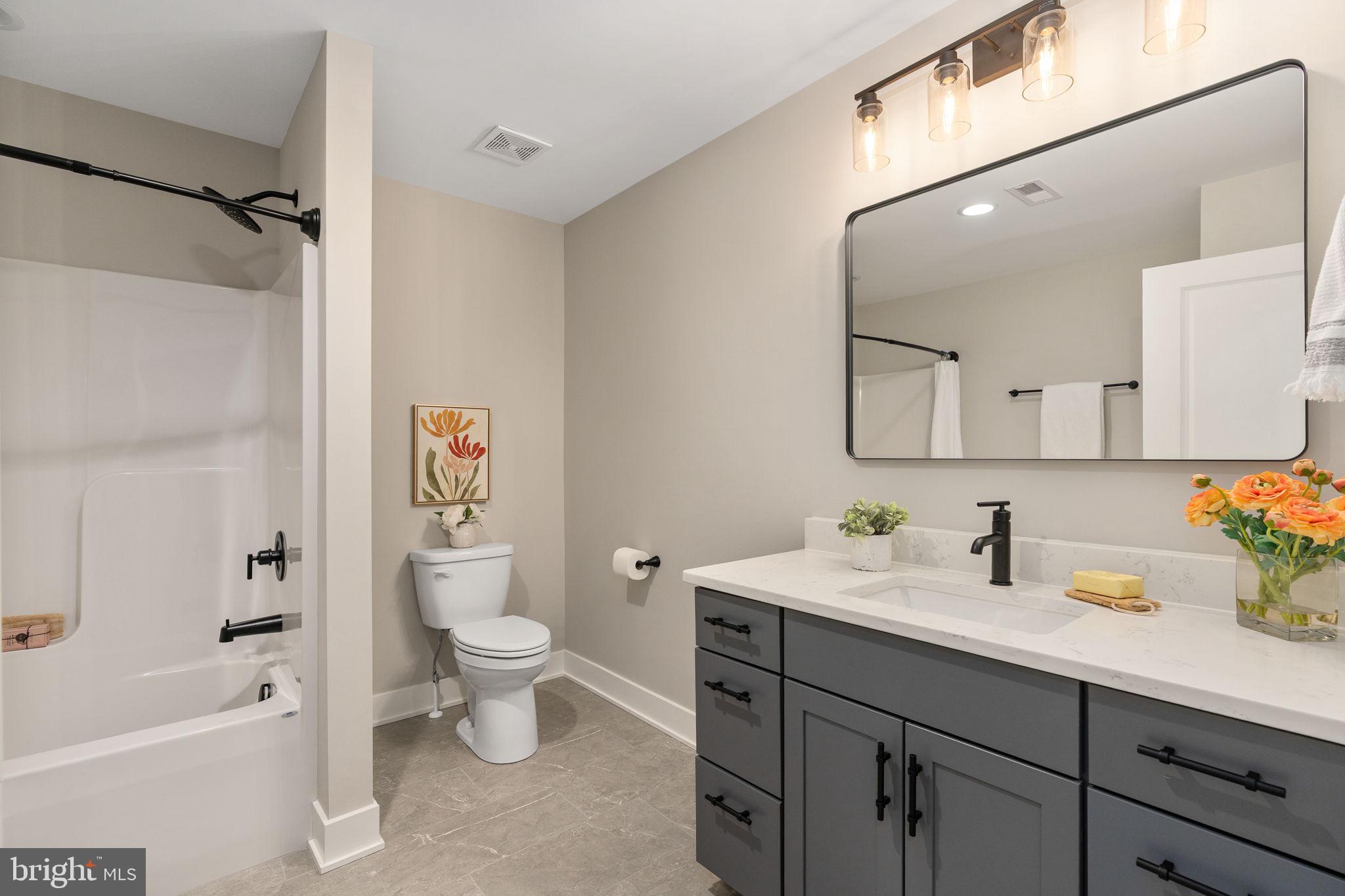 261 Washington Street Locust Grove, VA 22508 - Photo 46 of 69 a bathroom with a sink a toilet and shower